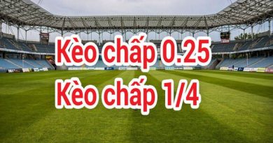 Kèo 0.25 là gì - Thông tin kèo chấp 1/4 hiệu quả