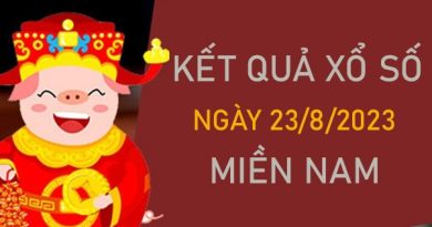 Dự đoán XSMN 23/8/2023 chốt KQXS VIP miền Nam