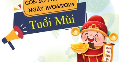 Con số may mắn tuổi Mùi hôm nay ngày 19/6/2024