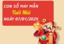 May mắn thăng hoa cùng con số đẹp tuổi Mùi 7/1/2025